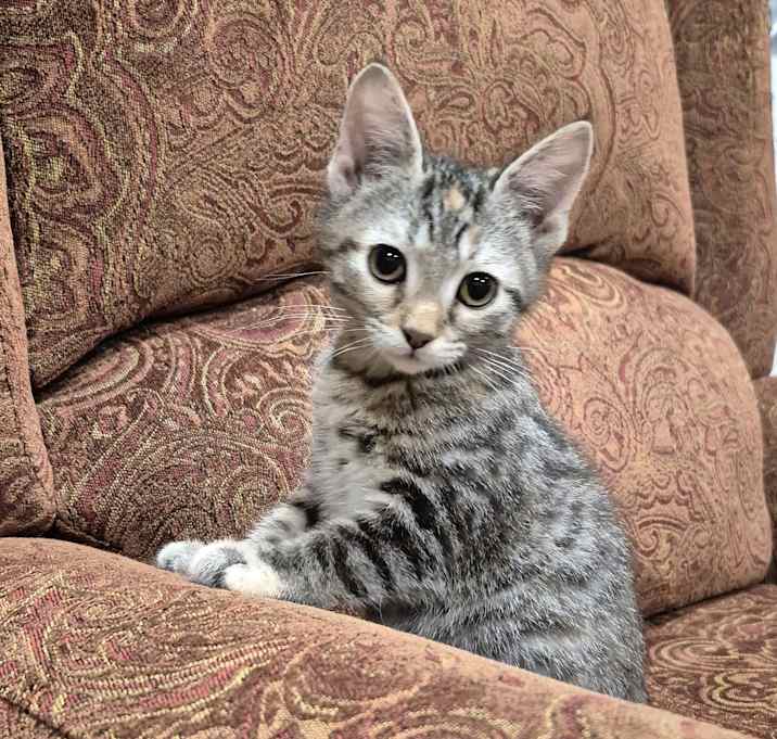 Photo of Skittles