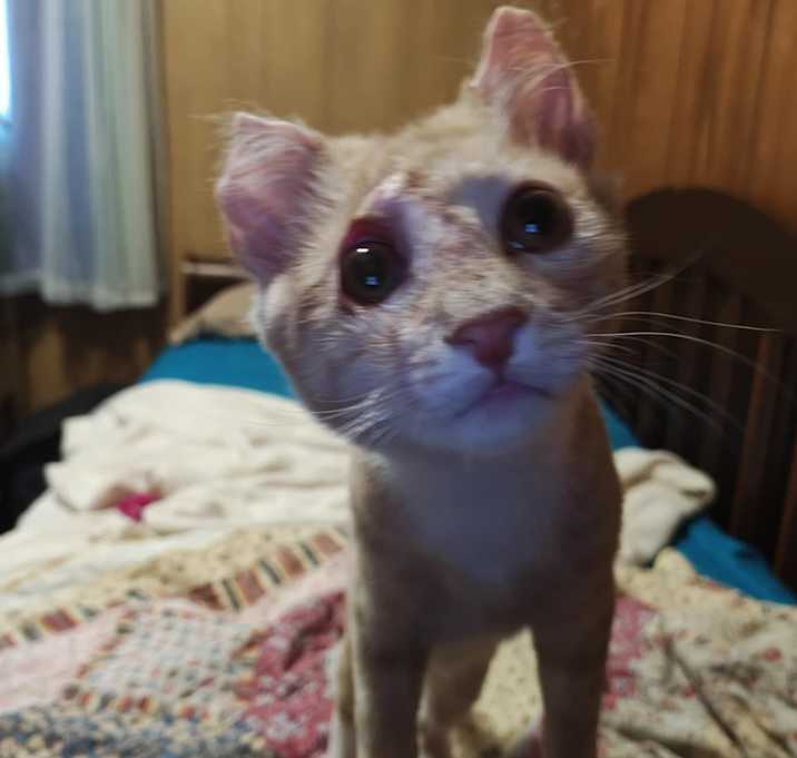 Photo of Ember
