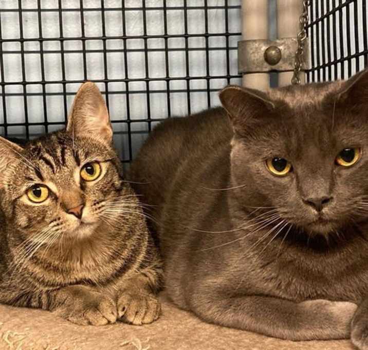 Photo of Flip & Frankie