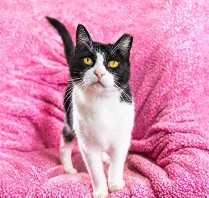 Photo of Sweet Rebecca