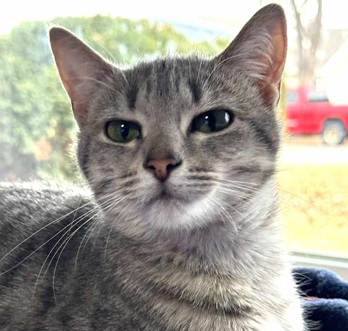 Photo of Maizie Mae