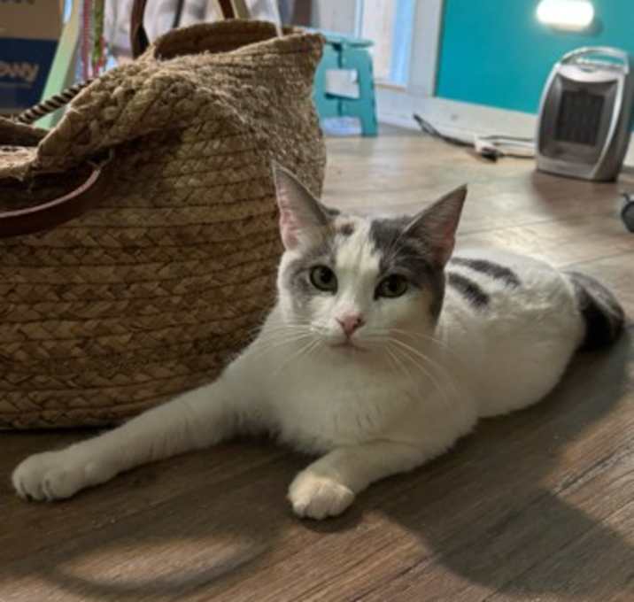 Photo of Hanna