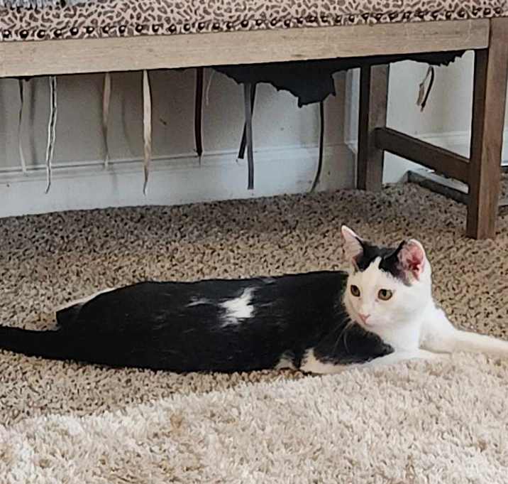 Photo of Cutie