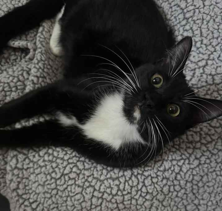 Photo of Sugar