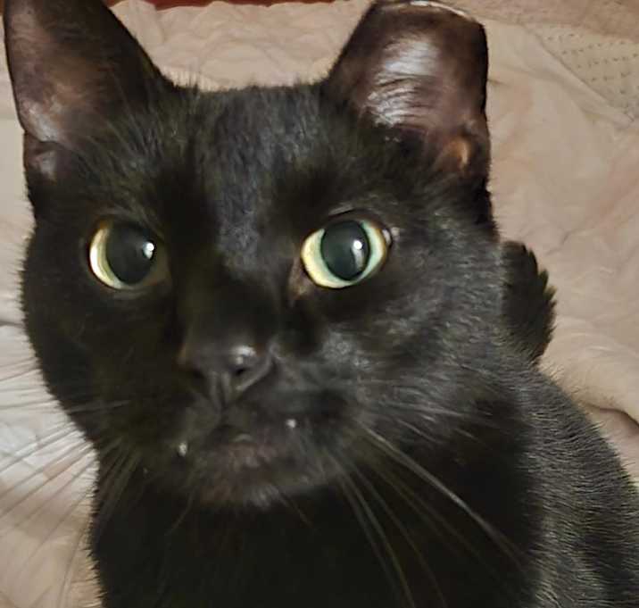 Photo of Sid