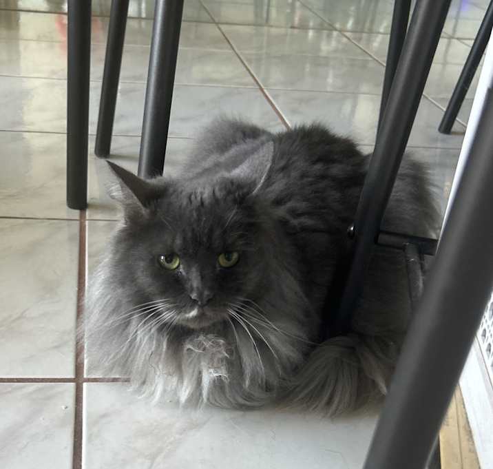 Photo of Nami