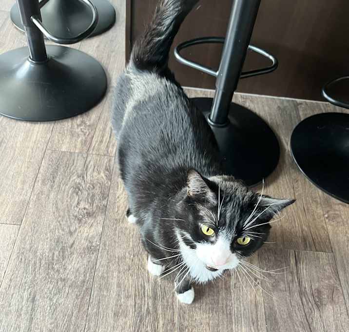 Photo of Bruce