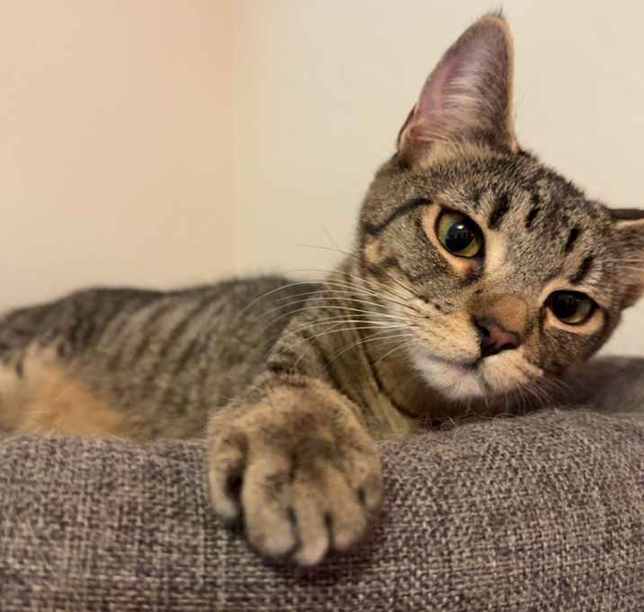 Photo of Charlie