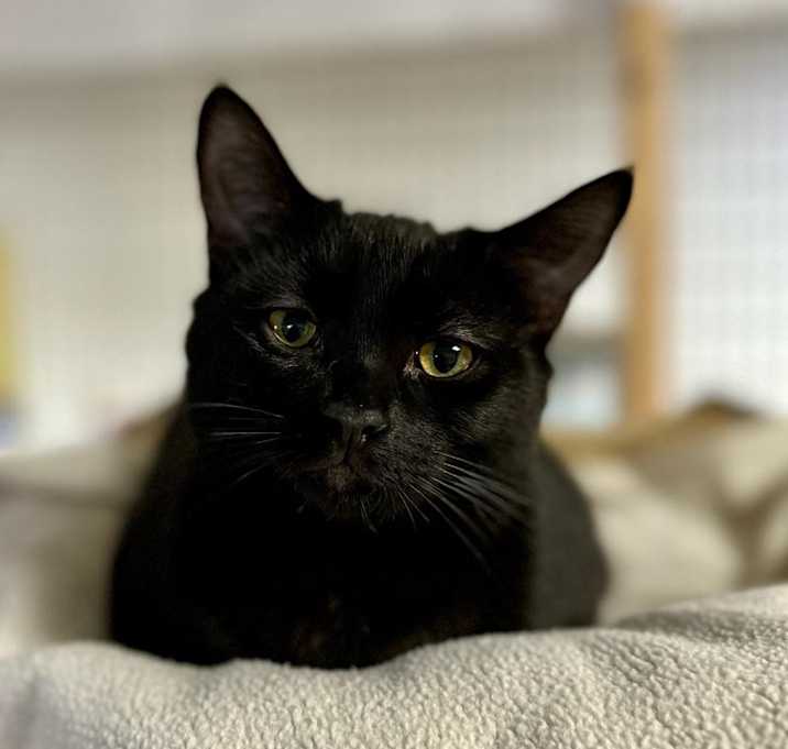Photo of Uno