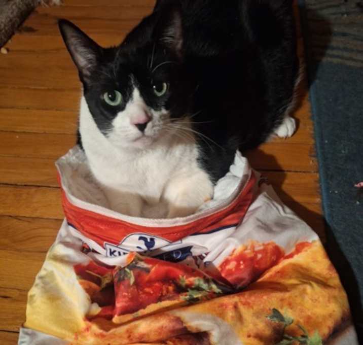 Photo of Bree