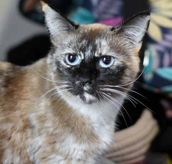 Photo of Eve