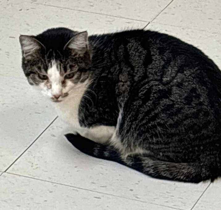 Photo of Rowdy