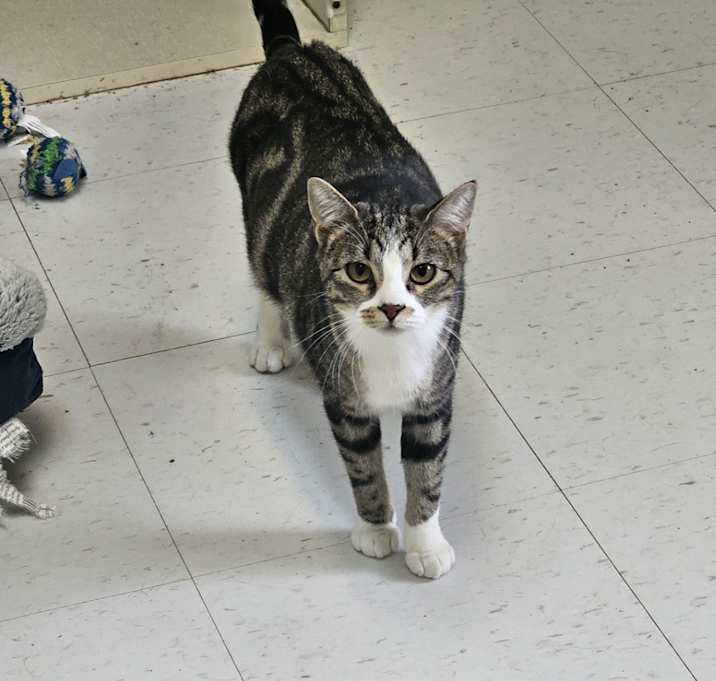 Photo of Swirly