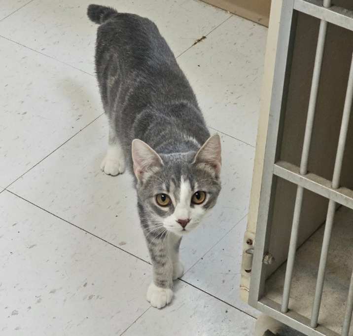 Photo of Lilith