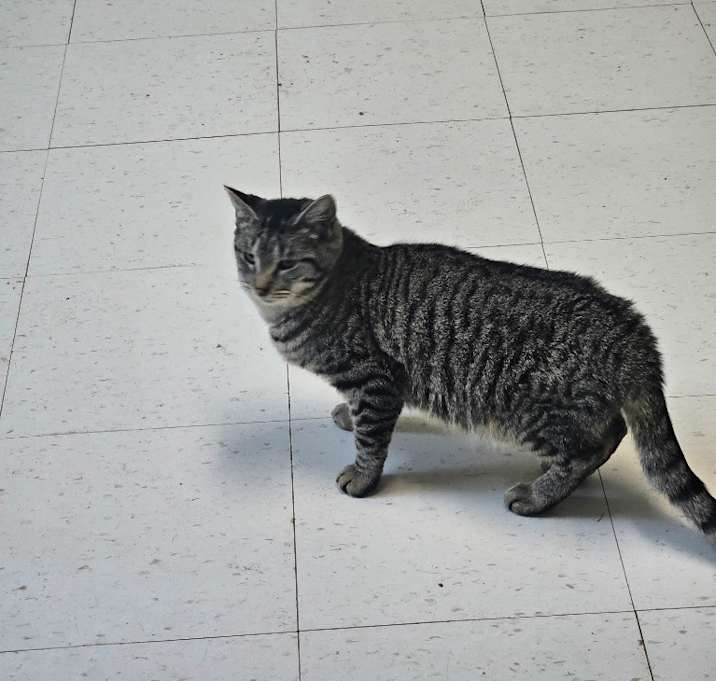 Photo of Radar