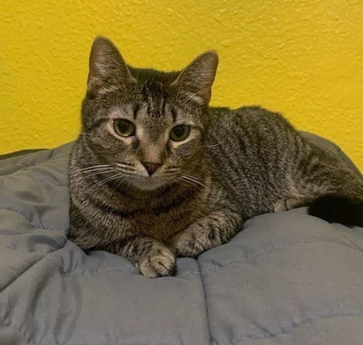 Photo of Angel