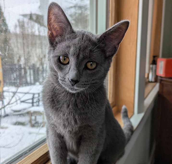 Photo of Pearlie Mae
