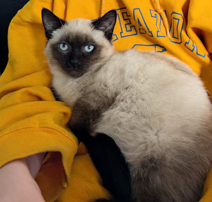Photo of Peabody