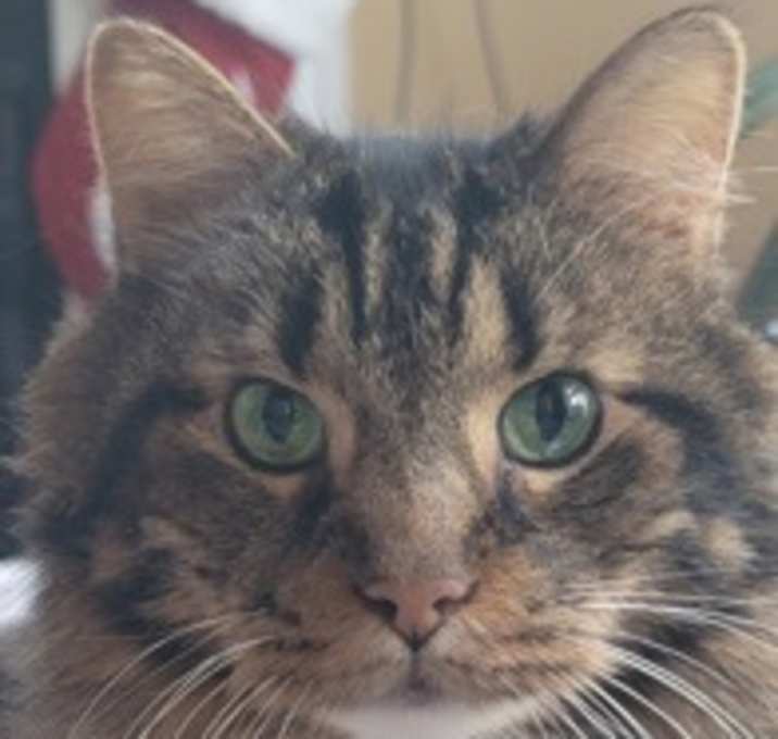 Photo of Sasha