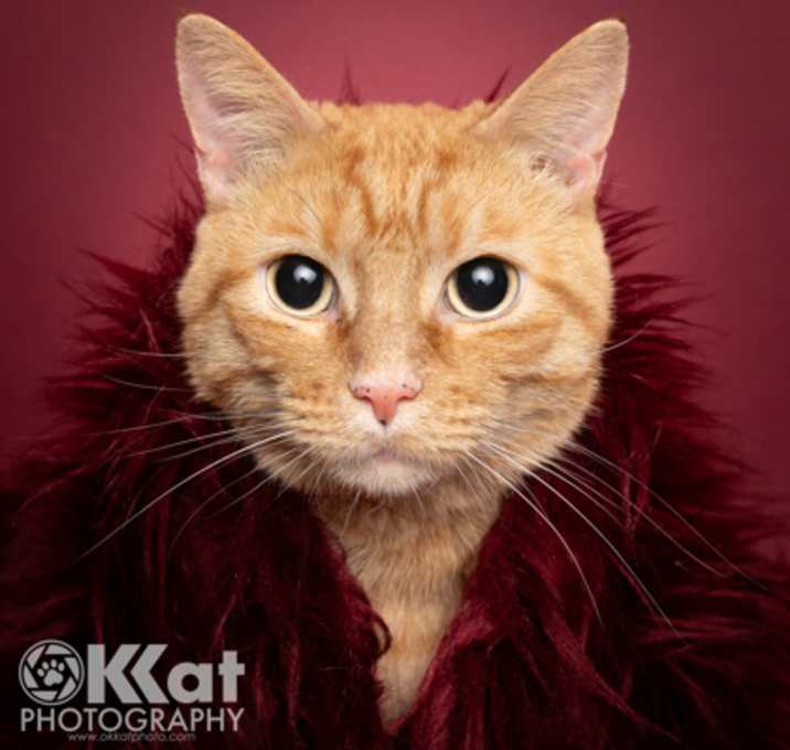 Photo of Magdalena