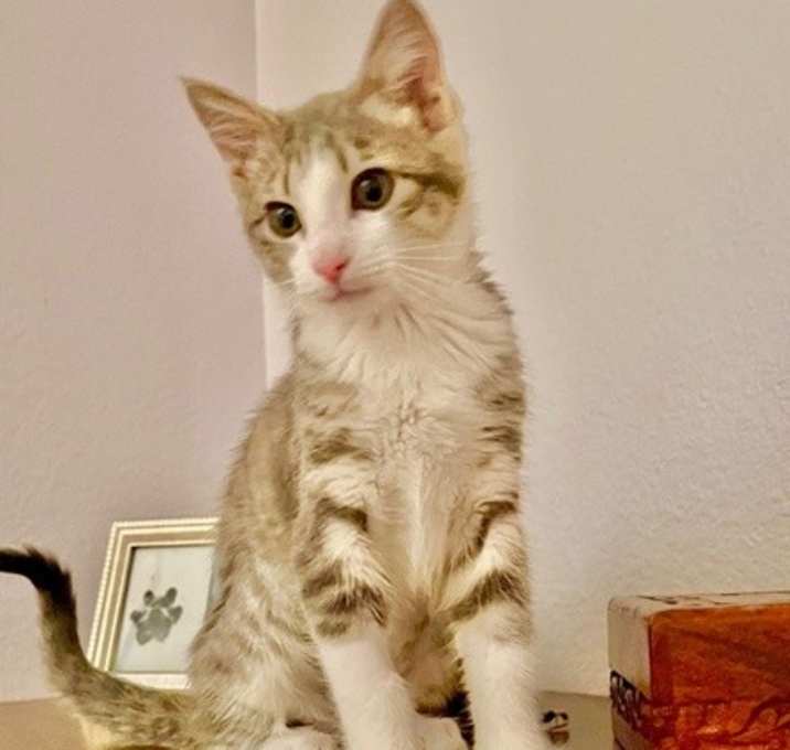 Photo of Scarlet