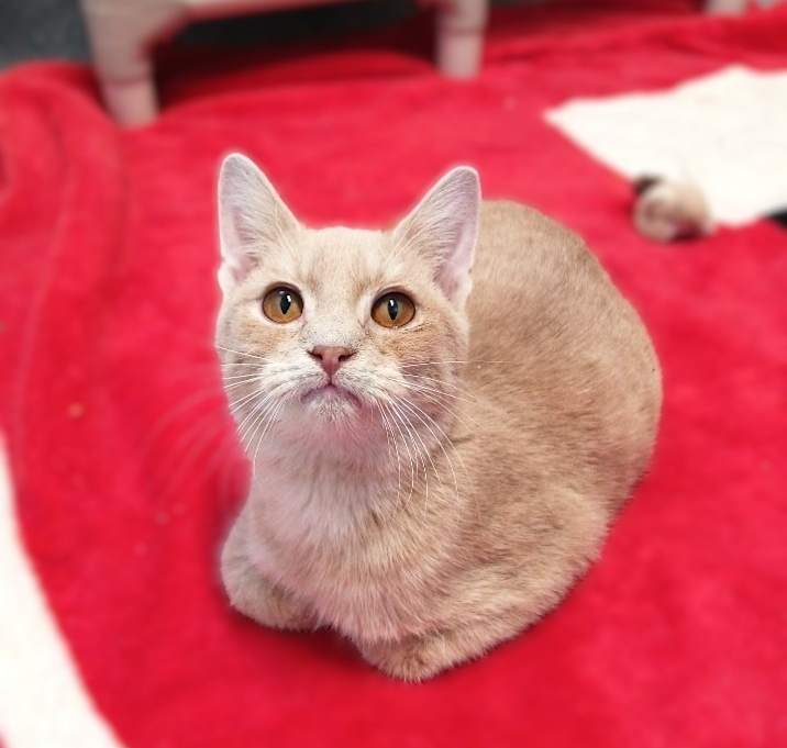 Photo of Rudy