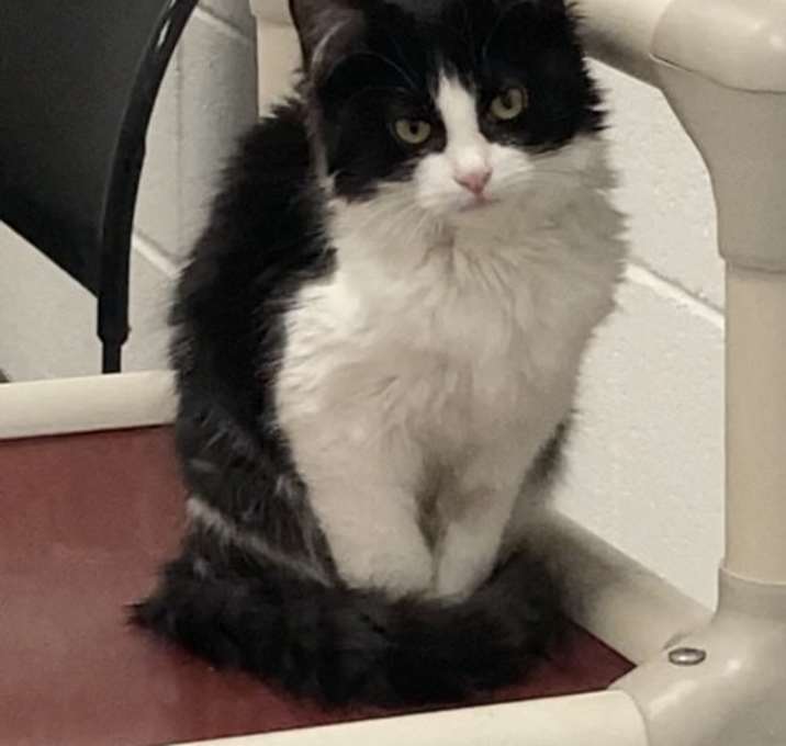 Photo of Snickers