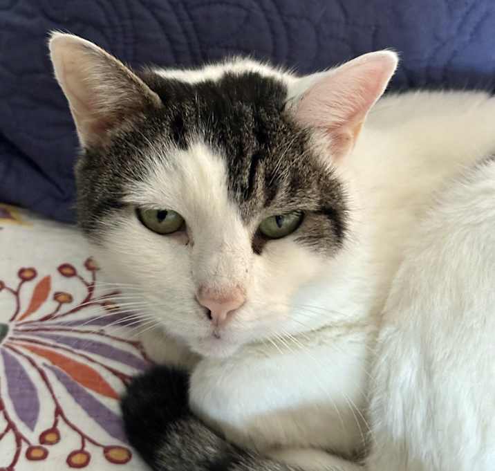 Photo of Gracie