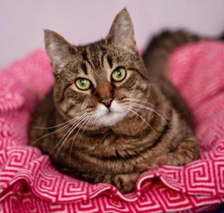 Photo of Alice