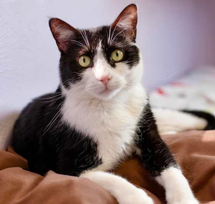 Photo of Monji