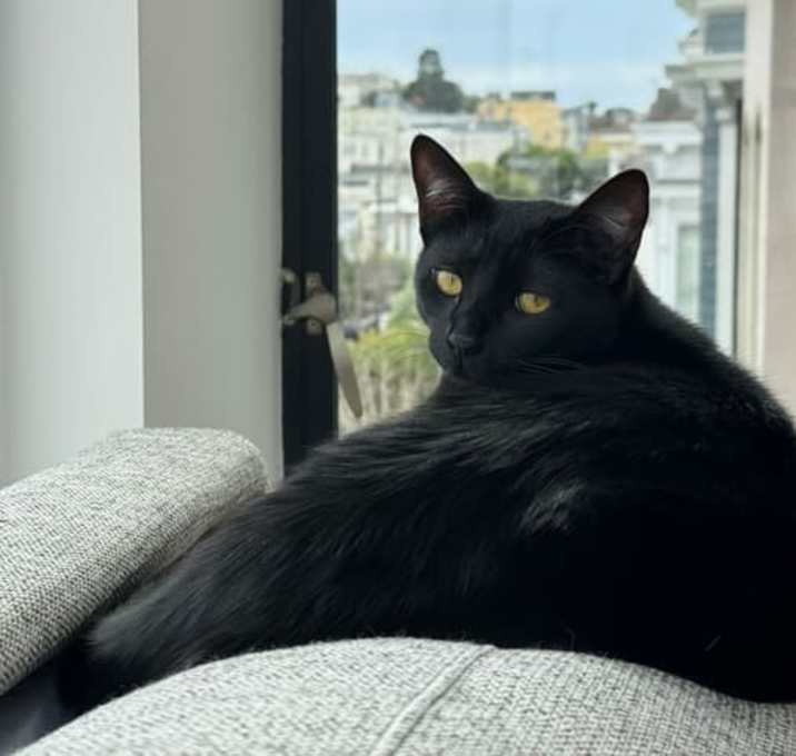 Photo of Mooshu