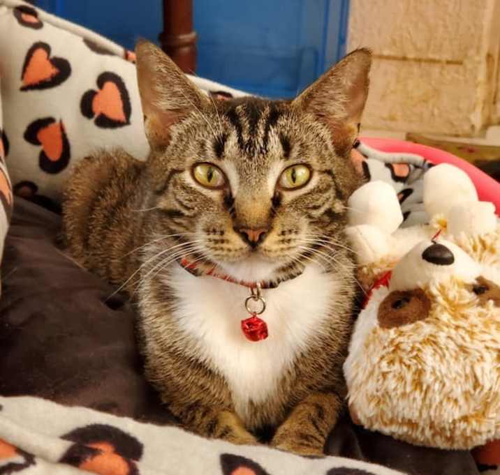 Photo of Abbey fka Astrid