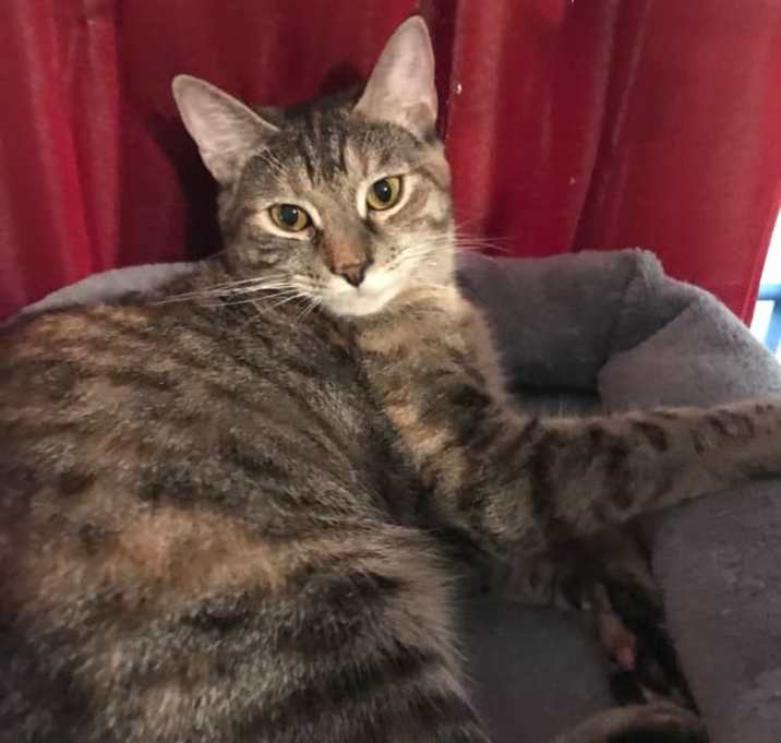 Photo of Charlotte