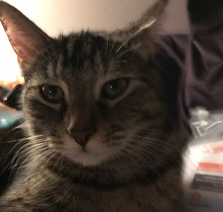 Photo of Tina