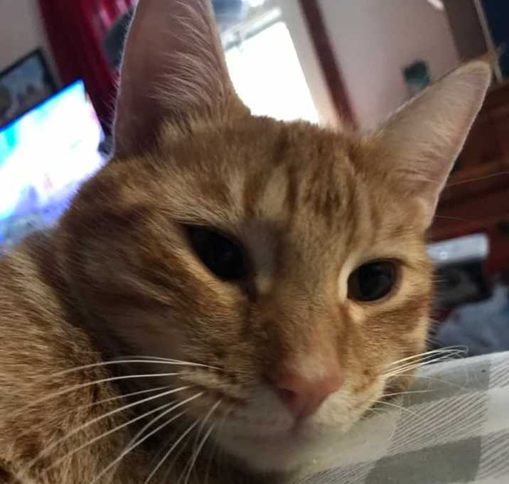 Photo of Jack