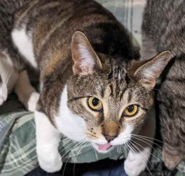 Photo of Junior