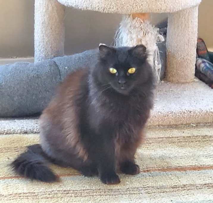 Photo of Marina