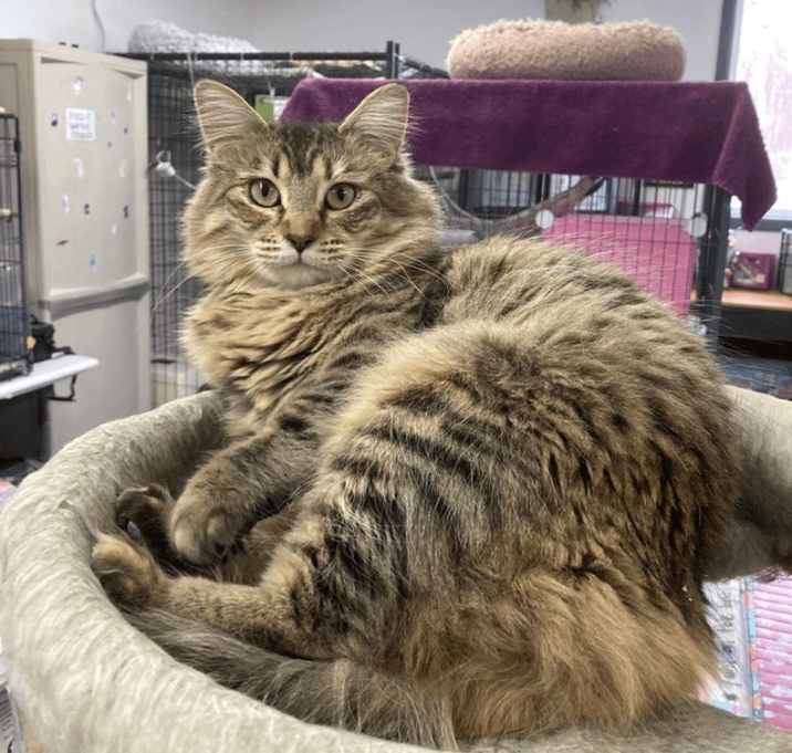 Photo of Stormy