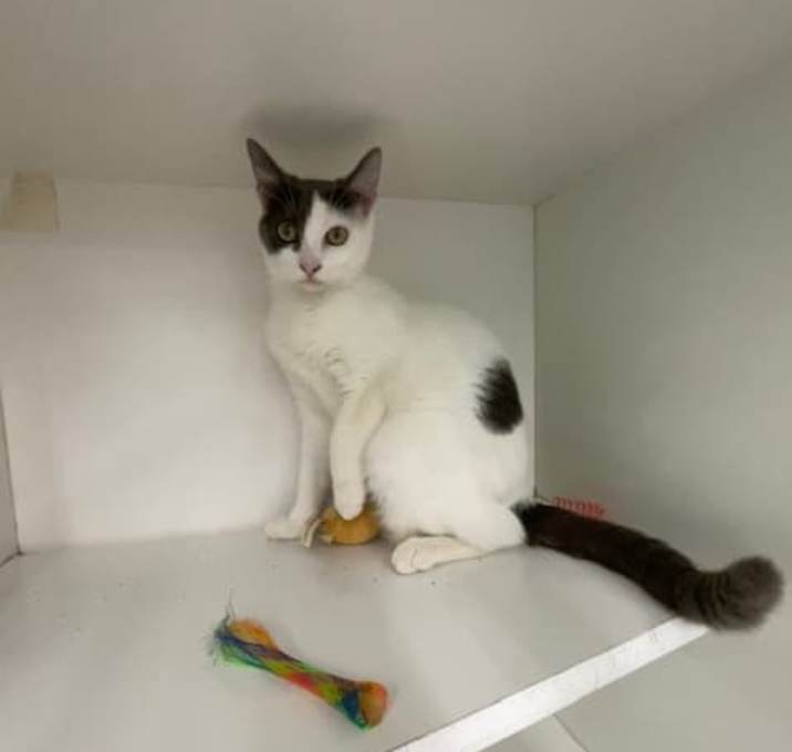 Photo of Sienna (Fee Waived)