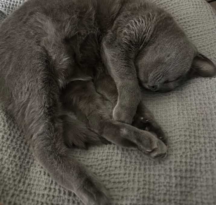 Photo of Maya