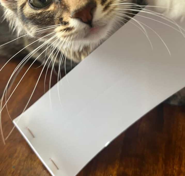 Photo of Sophie