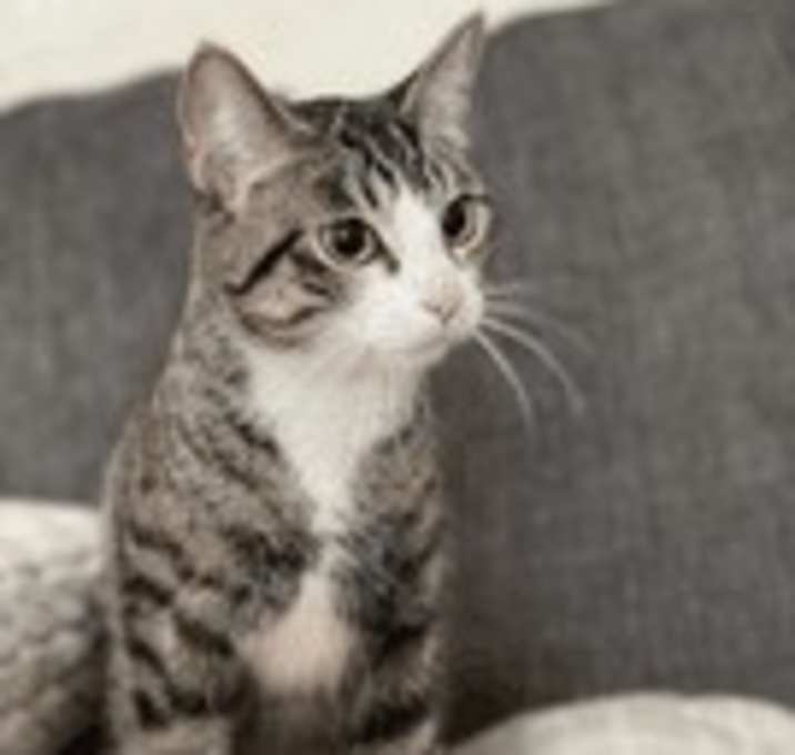 Photo of Candy