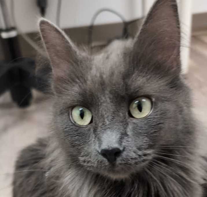 Photo of Eowyn