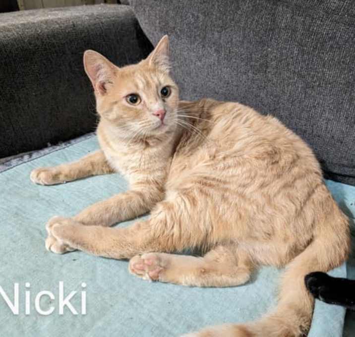 Photo of Nicki