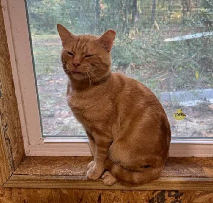 Photo of Buster