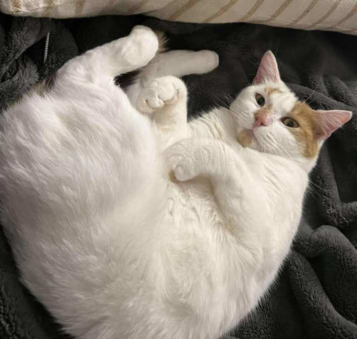 Photo of Dorothy