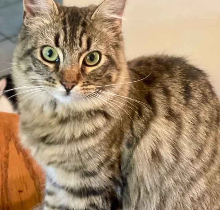 Photo of Bonnie