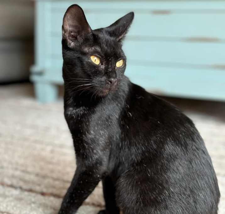 Photo of Naomi