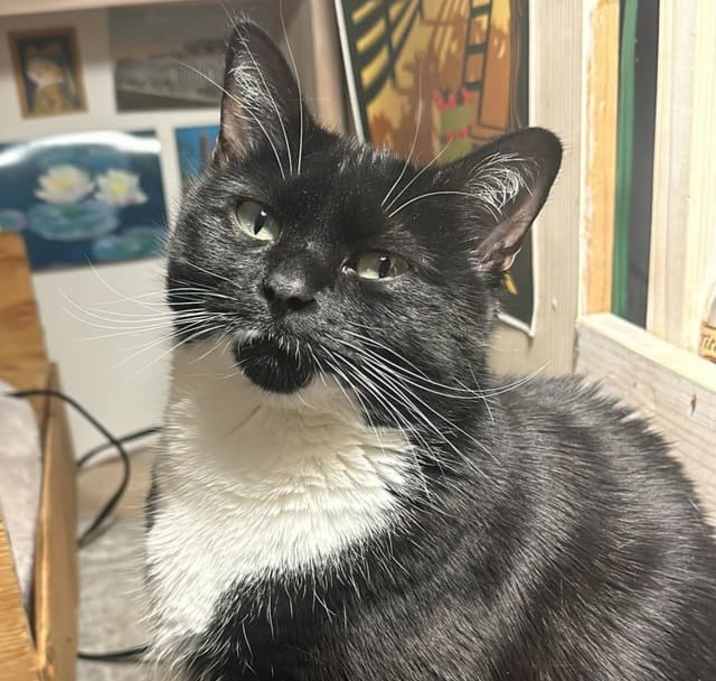 Photo of Belle