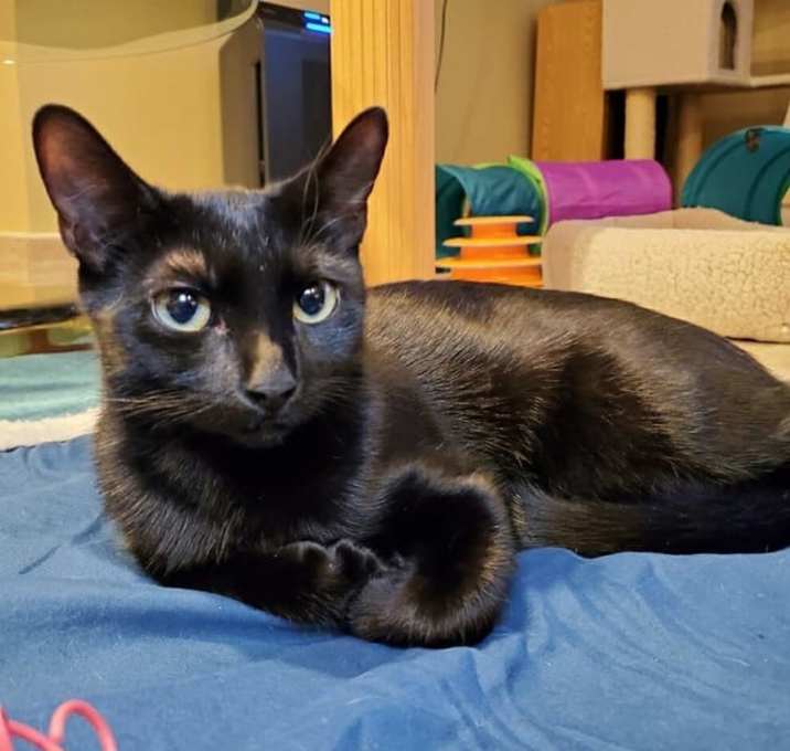 Photo of Spicy